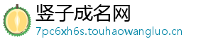 竖子成名网